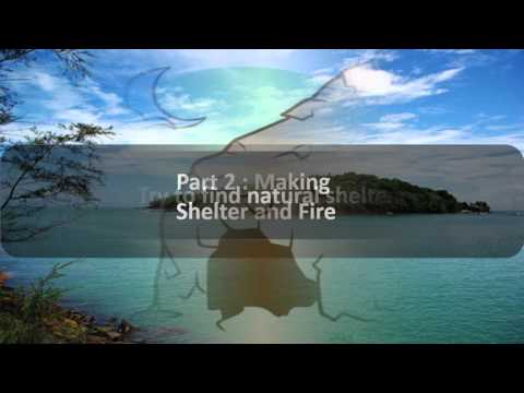 Como sobreviver em uma ilha tropical?