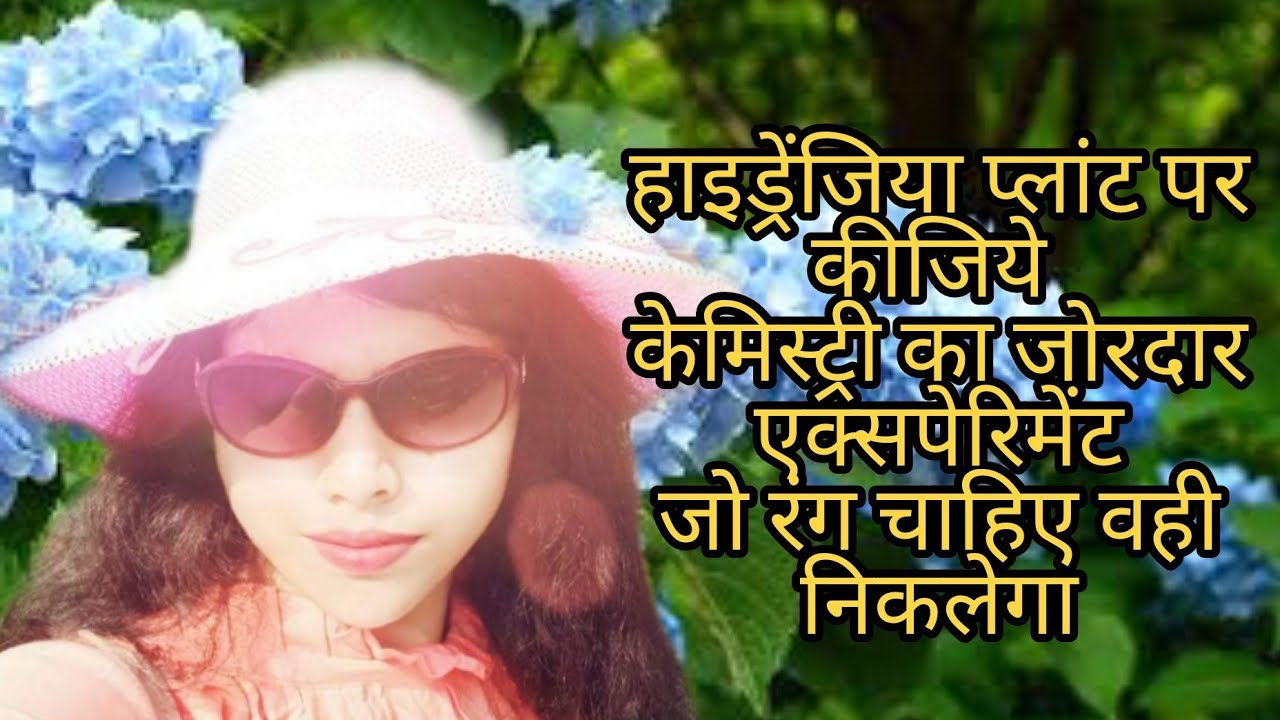 How to Grow and Care Hydrangeas/Mussorie Plant || #V396 