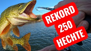 💥250 Hechte in Schweden,in einem Jahr ! Die bestenDrill und Livebisse der Saison. #schweden #hechte