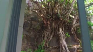 2.06/47-51 Lilyfield Rd, Rozelle 2039- The Easton