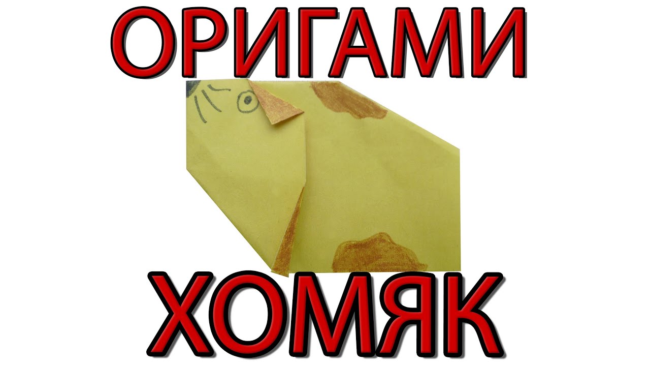 Как сделать из бумаги хомяка оригами Как сделать из бумаги хомяка оригами