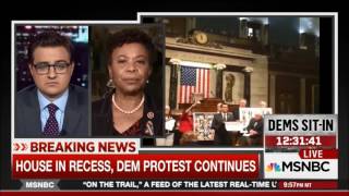 Rep. Duckworth on All in with Chris Hayes on MSNBC on Gun Violence