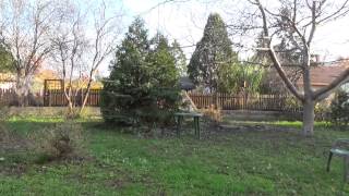 Broom Flight - Basic tricks