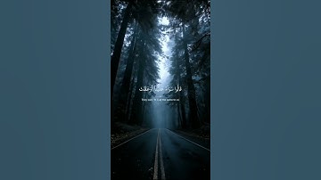 أكتب شئ تؤجر عليه| سورة الشعراء الايه 128 _ 140 القارئ ياسر الدوسري سورة🎧 #راحة_نفسية #المصحف #duet