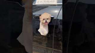 The owner is a good guy not only won't pay me for the repair of the car, I also have to raise a