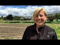 Central Otago saffron