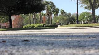 Longboard 2012 Quick Edit