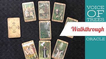 Voice of the Trees Oracle