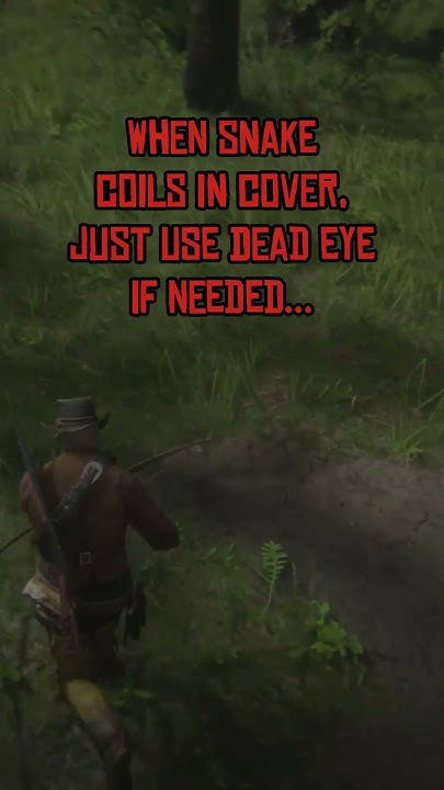 How To Get Perfect Snake Skins Rdr2 How to Get a Perfect Snake Skin in RDR2 #rdr2 #shorts - YouTube