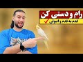 How to Easily Tame Your Cockatiel? | Step-by-Step Guide for Beginners