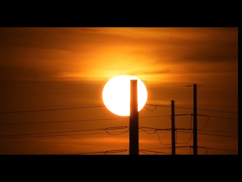 Sunset Airplane Interaction Compilation, Nikon P1000, 4K