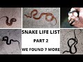 Snake Life List pt2  We Found 7 More !!