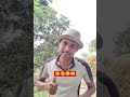 #automobilemobile se baat🎴 short video🎴 viral YouTube🤠 new viral non flower 🙏2026