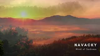 Navacky - Wind Of Sadness - Electronic Music - Official Musicvideo