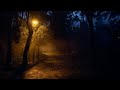 Evening Walk in the City Park 4K