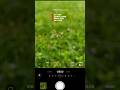 How to use PRO Mode in mobile phone #capcut #smartphone #nature #photography #naturephotography
