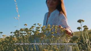 Zašto je naša univerzalna krema apsolutni favorit?