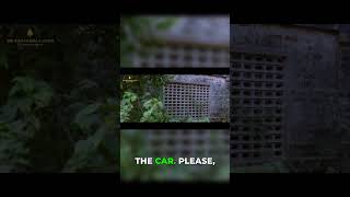 Tracing the criminal and cracked | Theerkadarishi Tamil Movie | Ajmal | Satyaraj | Y G Mahendran