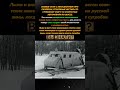 Снежный вихрь НКЛ 26