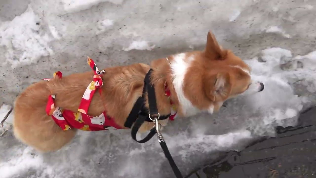 リクとまいは、汚れを気にせず歩くふたり・・・