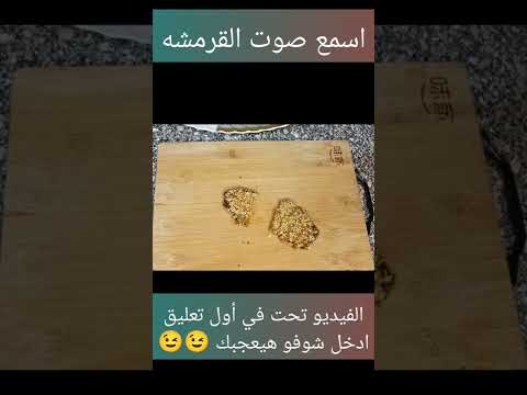 انسو  وجربوا الخلطه السريه بتاعت  