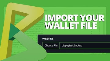 BTCPay Server - How to import Wallet File