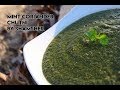 Coriander Mint Sauce/Chutni Recipe | How To Make Coriander Mint Sauce/Chutni