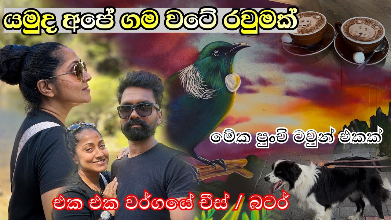 අපේ ටවුන් එක 
