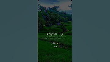 تلاوة رائعة للشيخ #احمد_النفيس #explore #قرآن #قران #duet #subscribe #راحة_نفسية #دويتو #احمد_النفيس