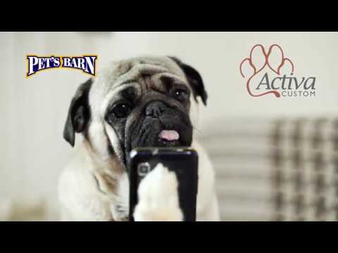 activa-custom-pet-food
