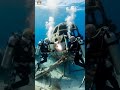 Lost Aircraft Found on Ocean Floor Gets Rescued #deepsea #sunken #shorts