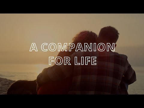 A Companion for Life - 4/7