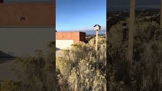 For Sale in Placitas, NM  #realestate #albuquerque #realtor #realestateagent #anitamoragroup