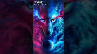 Oscot ya albi dnta ligayb li masaib