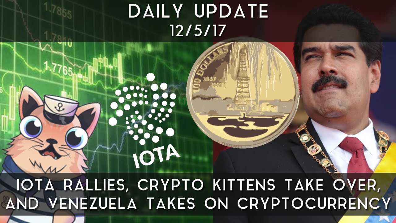 Daily Update (12/5/17) | IOTA surges, crypto kittens take over & more!