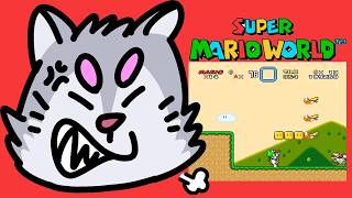 データ飛んだマリオを最速でクリアする銀次郎【スーパーマリオワールド】