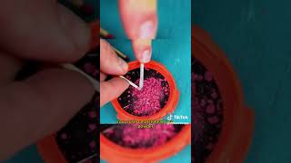 Science Experiments For You. Credit