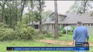 Homeowner has six trees fall on property, home remains untouched