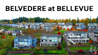 Belvedere Bellevue Tour - BEST Neighborhood in Bellevue