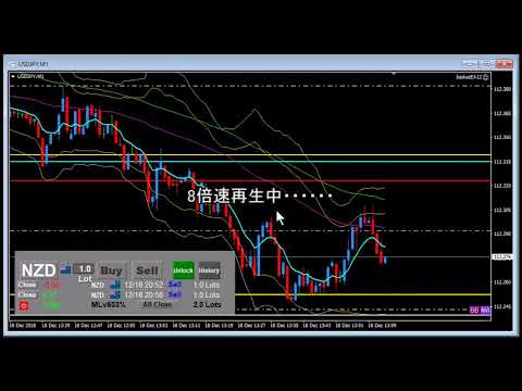 MT4でバスケット通貨取引を行うためのEAデモ動画