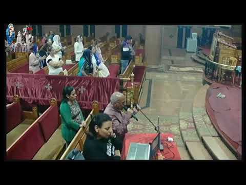 اجتماع شجرة مثمرة 20 11 2025 تسجيلات البث المباشر الكاملة