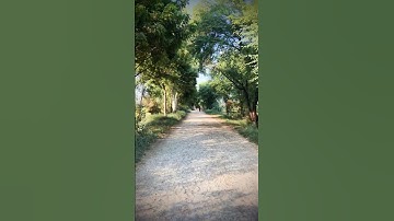 Check Video Stabilization Skill While Riding A Bike On An Extreme Bumpy Road