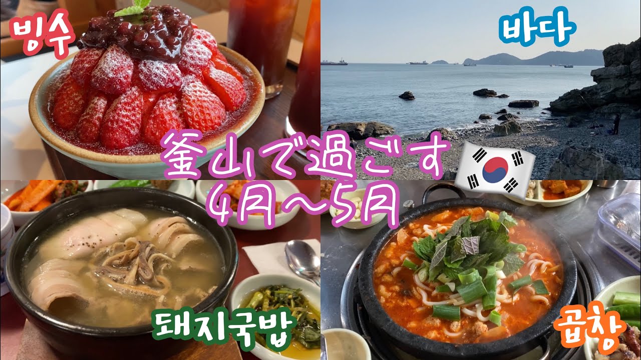 【韓国留学#23】一発取りのアフレコでお送りする~釜山で過ごす4月・5月~ 安定に食べすぎやし、見どころゼロすぎ✌️