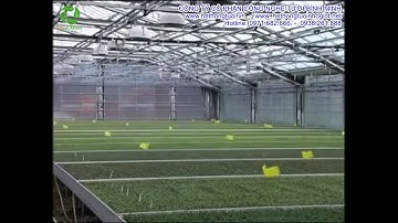 Vòi phun sương CoolNet