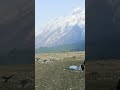 Dynamic Zoom Text Effect Test | Comment OVHOK for Tutorial