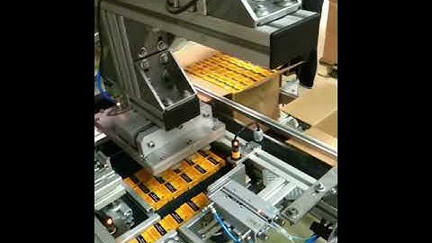 Novosys Soaps Case Packer