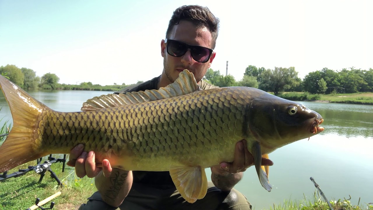 Lov  kaprov-Dvory nad Žitavou 5ka