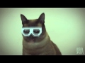Jamie Berry - Wonk ( Butterfly Crash Remix ) Catstep Edit