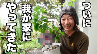 Mr. XX has arrived [Gardening Superman Carmen-kun