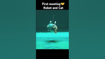 Robot and Cat 🤝 #stray #games #cat #straygame #straygameplay #legiongo @saratunplays #top